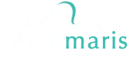 Mindmaris